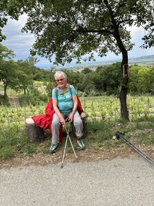 Montmirail J 01, IMG_3582