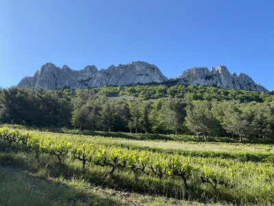 Montmirail J02, IMG_2024