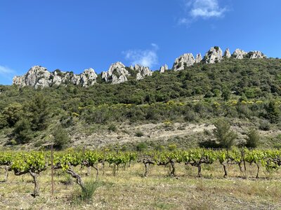 Montmirail J02, IMG_2038