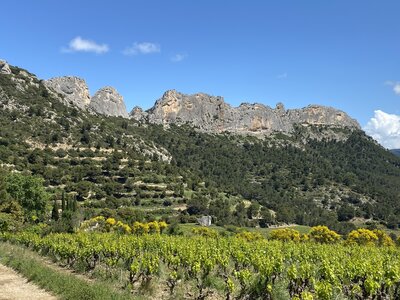 Montmirail J02, IMG_2044