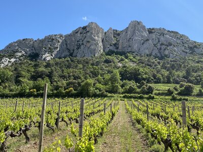 Montmirail J02, IMG_2061