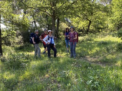 Montmirail J 04, IMG_2112