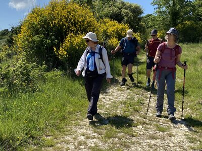 Montmirail J 04, IMG_2122