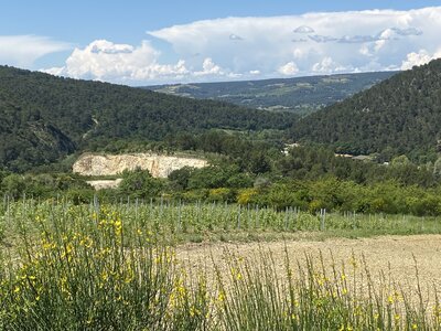 Montmirail J 04, IMG_2127