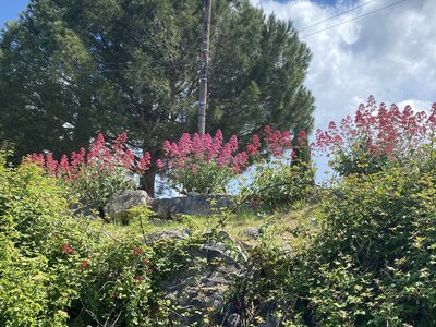 Montmirail J 04, IMG_2130