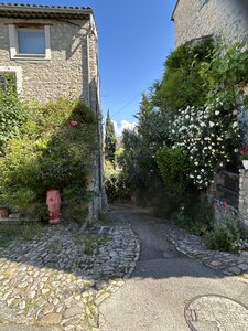 Montmirail J 04, IMG_3686