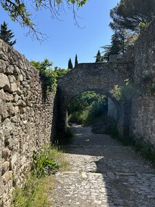 Montmirail J 04, IMG_3698