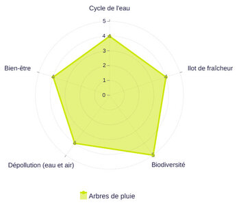 Projet de désimperméabilisation de la dalle de Cergy-Préfecture, Arbres de pluie