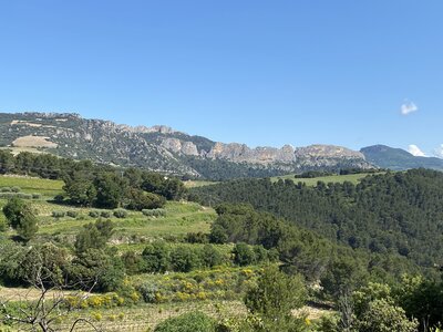 Montmirail J 03, IMG_2070