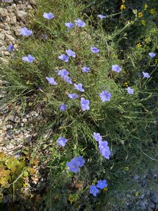 Montmirail J 03, IMG_2076