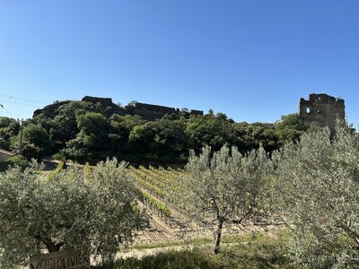 Montmirail J 03, IMG_3622