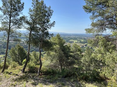 Montmirail J 03, IMG_3624