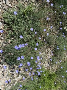 Montmirail J 03, IMG_2077