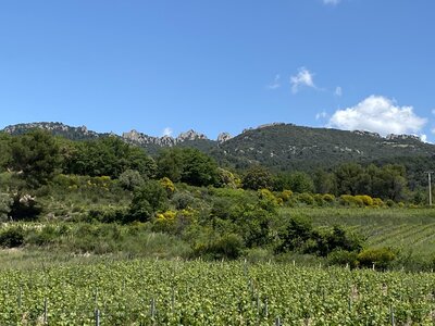 Montmirail J 03, IMG_2085