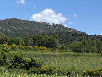 Montmirail J 03, IMG_2086