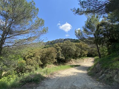Montmirail J 03, IMG_2088