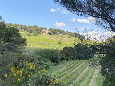 Montmirail J 03, IMG_2089