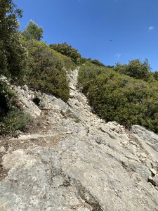 Montmirail J 03, IMG_2093