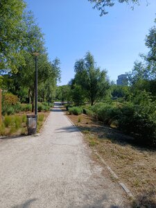 PFM, 20250520_100444