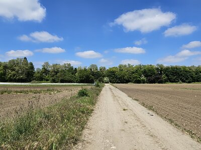 PM, Bande enherbée