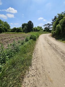 PM, Bande herbée