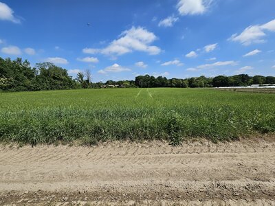 PM, Monoculture 2