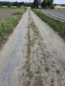 PM, Route