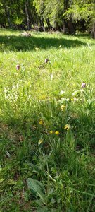 27-05-25 Laye, WhatsApp Image 2025-05-27 à 12.13.30_bc5f53ec