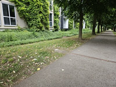 PFM, 20250527_080106