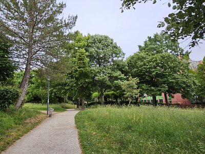 PFM, 20250527_080358