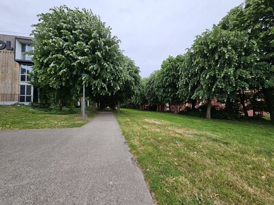 PFM, 20250527_080052