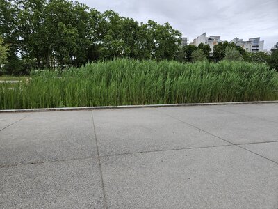 PFM, 20250527_080603