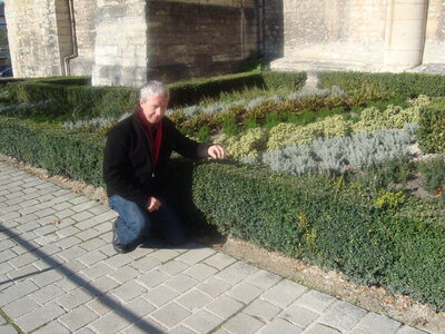 Reims 10/2012, DSC05325