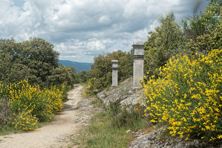 Alpes de Haute Provence et Vercors mai 2025, DSC08987_DxO
