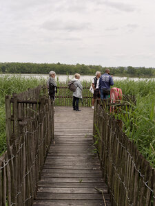 Bègles 2 juin 2025, _K1_S3_6518