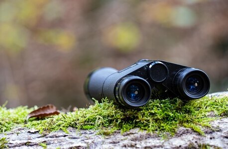 blog - Pérégrinations d'une masterante, binoculars-5724502_640