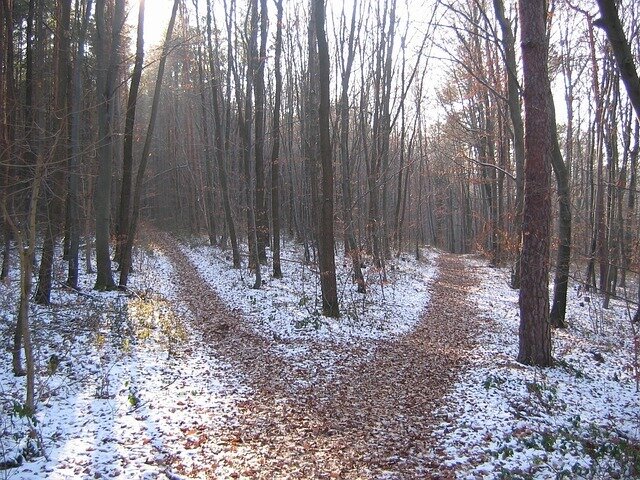 croisement de chemins