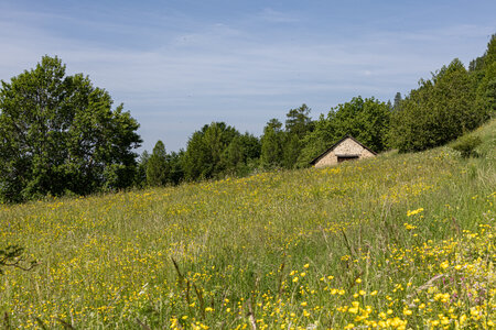 Rando épicurienne au plateau de la Coche le 12 juin 2025, 1L8A0088