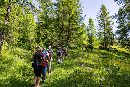 Rando épicurienne au plateau de la Coche le 12 juin 2025, 1L8A0097