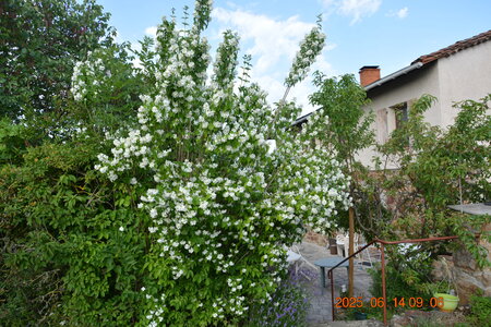Nature, DSC_2111