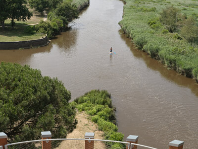Le Teich 9 juin 2025, _K1_S3_6890