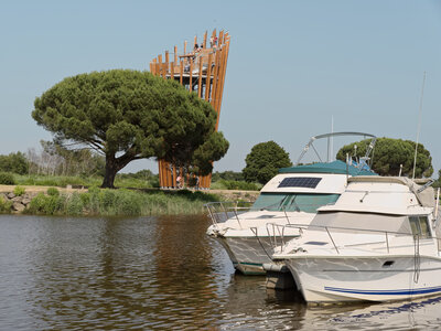 Le Teich 9 juin 2025, _K1_S3_6914-1