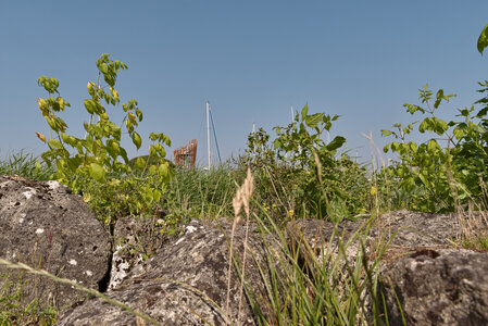 Le Teich 9 juin 2025, _K1_S3_6931