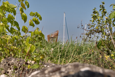 Le Teich 9 juin 2025, _K1_S3_6933
