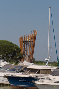 Le Teich 9 juin 2025, _K1_S3_6969