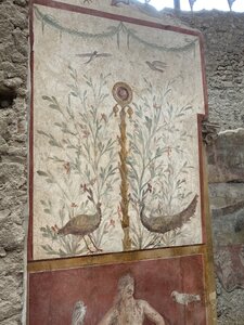 Pompéi, IMG_5976