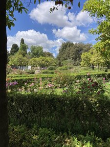 Rome, IMG_5533