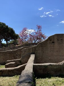 Ostia Antiqua, IMG_5609