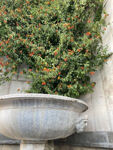 Rome, IMG_5766