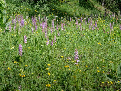 12-06-25 rando epicurienne, P1098334